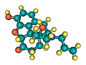 Naloxone, molecular model