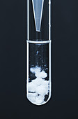 Barium carbonate precipitate, 2 of 3