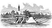 Velocipede Boat, 1881