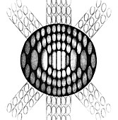 Fraunhofer Diffraction Patterns