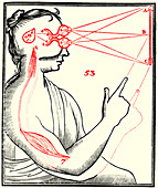 Vision and External Stimuli, 17th Century