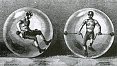 Spherical Transparent Velocipede, 1884