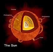 Structure of Sun, Illustration