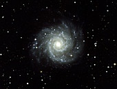 Grand Design Spiral Galaxy, M74, NGC 628