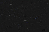 Cetus, Constellation, Labeled