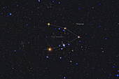 Hyades Star Cluster, Labeled