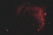 Thor's Helmet and Seagull Nebula, Canis Major