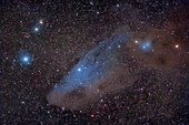 IC 4592, Blue Horsehead Nebula