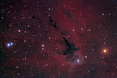 LDN 1622, the Bogeyman Nebula