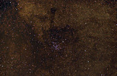Open Cluster M23 and Dark Nebulae