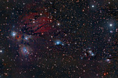 NGC 2170, the Angel Nebula