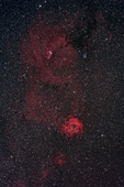 Rosette and Cone Nebulas, NGC 2237, NGC 2264