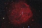 Sh2-264, the Angelfish Nebula