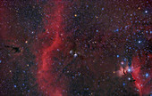 Barnard's Loop, M78, and Horsehead Nebula