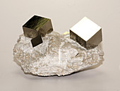 Iron pyrite cubic crystals in matrix