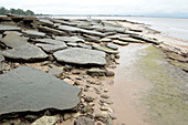 Exposed Limestones with shell fossils