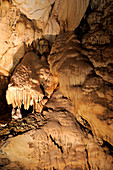 Speleothems in Lang's Cave