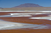 Red Waters of Lago Colorado