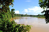 Kinabatangan River, Malaysia