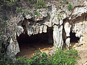 Cave Entrance, Grand Cayman