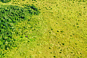 Aerial Of Grassland, Congo