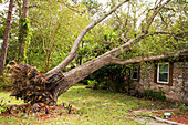 Hurricane Damaged Residential Home