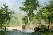 Prehistoric, Eocene Landscape