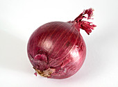 Red Onion