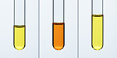 Chromate-dichromate equilibrium