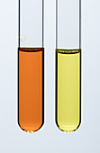 Potassium chromate and potassium dichromate