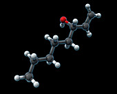 Octenol, Molecular Model