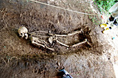 Body Farm, Excavated Human Remains, 2009