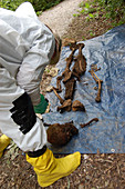 Body Farm, Examining Human Remains, 2009