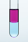 Miscibility and solubility