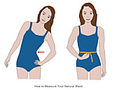 Measuring your waist