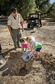 Children planting oak tree, USA