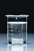 Chalk Reacts with Acetic Acid