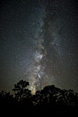 Milky Way Above Utah
