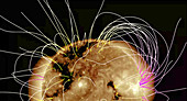 Coronal Holes and Magnetic Field Lines