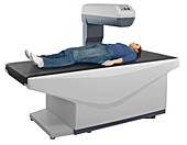 Bone mineral density testing, illustration