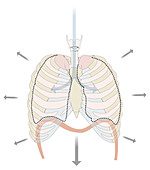 Inhalation, illustration
