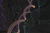 Genetic Engineering, Conceptual Illustration