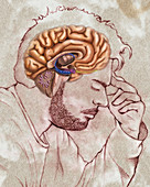 Human Mind, illustration