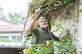 Senior man gardening