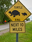 Turtle crossing sign, Michigan, USA