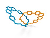 Catenane, molecular molecule