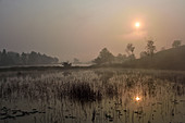 Early morning at Chiang Saen Lake