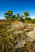 Rattlesnake Mountain