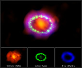 Supernova 1987A, multi-wavelength view