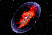 Supernova remnant from a star collapse